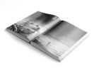 Faetal Attraction Bundle