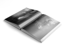 Throne of Ashes Paperback