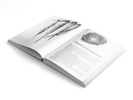 Warrior Rising Paperback